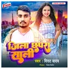 About Jila Chhapra Saali Song