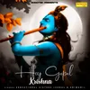 About Hey Gopal Krishna Song