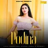 About Podina Song