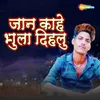 About Jaan Kahe Bhula Dihalu Song