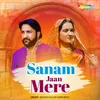 About Sanam Jaan Mere Song