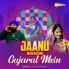 About Jaanu Mein Baitho Gujarat Mein Song