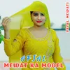 About Mewat Ka Model Song