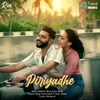 About Piriyadhe Song