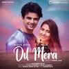 About Dil Mera Song