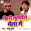 About Mehri Bhulail Mela Me Song