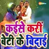 About Kaise Kari Beti Ke Bidai Song