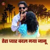 About Tera Pyar Badal Gya Jannu Song