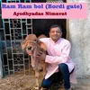 About Ram Ram bol (Bordi gate) Song