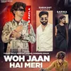 About Woh Jaan Hai Meri Song