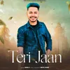 About Teri Jaan Song
