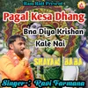 About Pagal Kesa Dhang Bna Diya Krishan Kale Nai Song