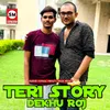 About Teri Story Dekhu Roj Song