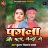 About Pagala Ke Bhula Genhi Ge Song