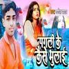 About Pagli Ke Kaise Bhulai Song