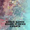 SHREE BANKE BIHARI KI DEKH CHHATA