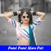 About Padal Padal Mara Pati Song