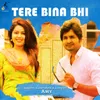 About Tere Bina Bhi Song
