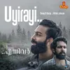 About Uyirayi Song