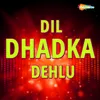 About Dil Dhadka Dehlu Song