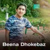 About Beena Dhokebaz Song