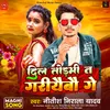 About Dil Todmi Ta Gariyaibo Ge Song