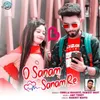 About O Sanam Sanam Re Song