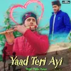 About Yaad Teri Ayi Song