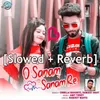 About O Sanam Sanam Re (Slowed Reverb) Lofi Song
