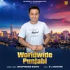About Worldwide Punjabi Song