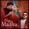 About Hey Madhu Song