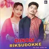 Oinom Riksudokke