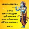 About Om Krishnaya Vasudevaya Haraye Paramatmane Pranatah Kleshanashaya Govindaya Namo Namah Song