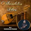 About Mandolin Vibes Song