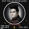 About Tum Jinda Ho Raju Punjabi Song