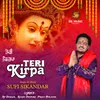 About Teri Kirpa Song