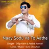 About Naay Sodu Va To Aathe Song