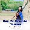 About Hay Re Bewafa Sanam Song