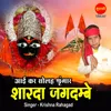 About Aayi Kar Solah Shringar Sharda Jagdambe Song
