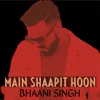 About Main Shaapit Hoon Song