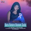 About Baru Butare Banam Sade Song