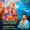 About Chintapurni Maa Meri Song