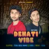 About Dehati Vibe Song