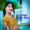 About Tu Aaja Milbe Sasre Song