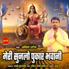 About Meri Sun Lo Pukar Bhavani Song