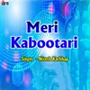 About Meri Kabootari Song