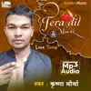 About Tera Dil Mera Dil Song