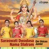 Saraswati Dwadasa Nama Stotram