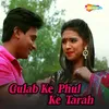 About Gulab Ke Phul Ke Tarah Song