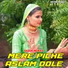 About Mere Piche Aslam Dole Song